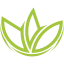 macaowin.org favicon