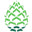 pineconeresearch.com favicon