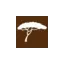 privatesafaris.co.ke favicon