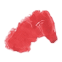 tijnakersloot.nl favicon