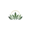 blissfulcannabisau.com favicon
