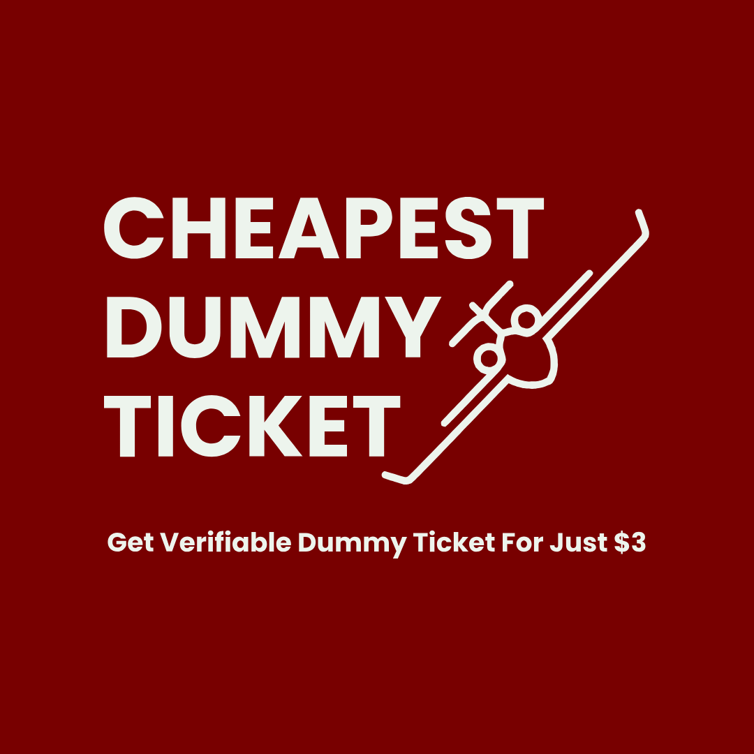 cheapestdummyticket.com favicon