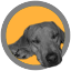 comfort-kussen.nl favicon