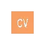 exempledecv.com favicon