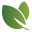 groendrecht.nl favicon