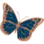 papilioaesthetics.co.uk favicon