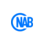 soluzionenab.it favicon