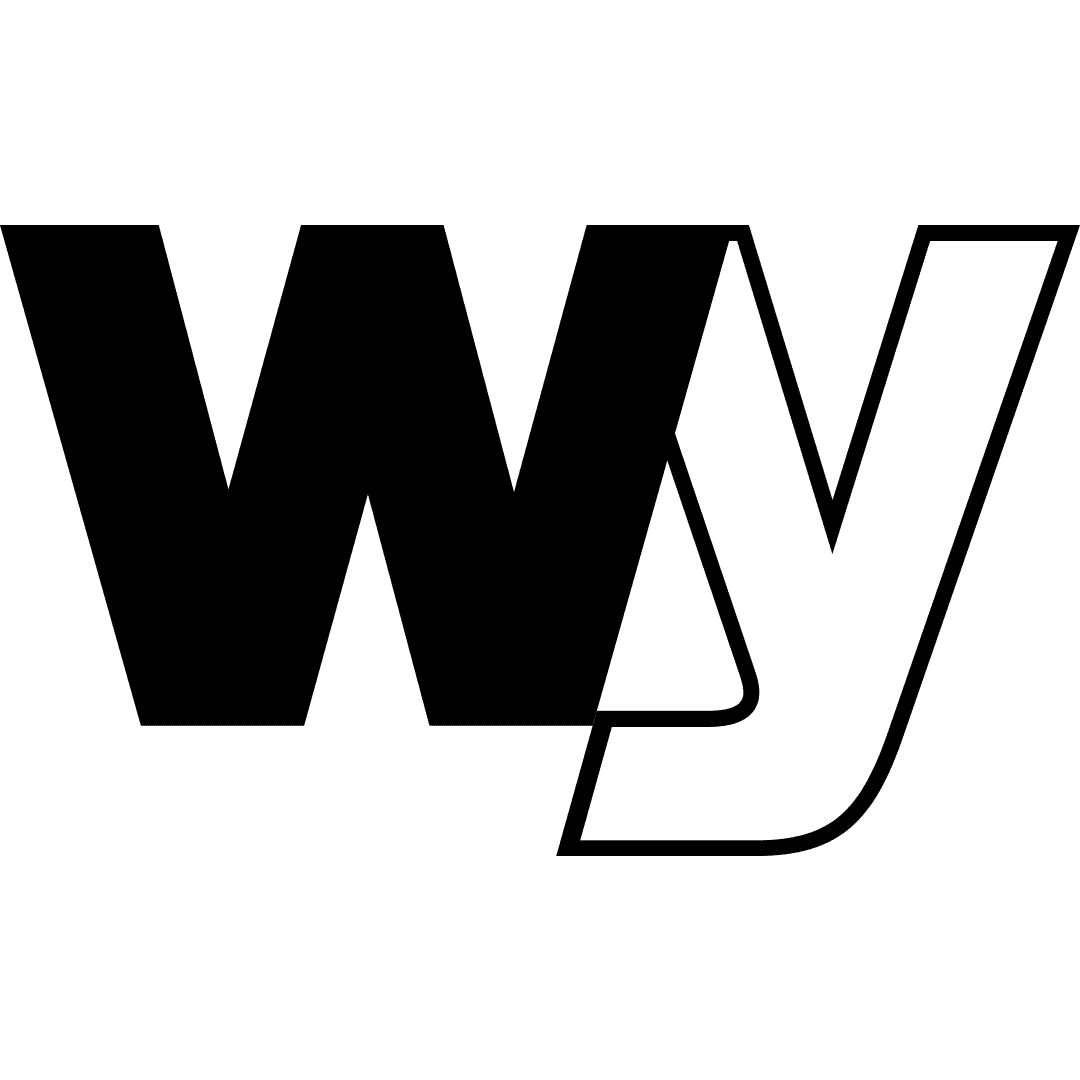 wellyou.eu favicon