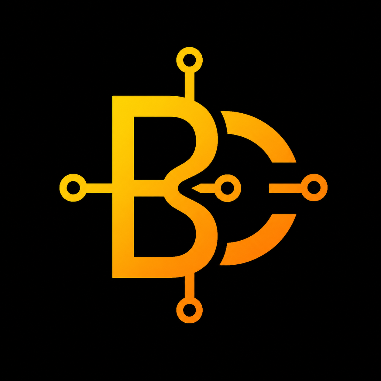 bitcitechnology.com favicon