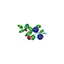 blueberry.london favicon