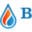 braidenplumbing.com favicon