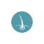 pilorum.dk favicon