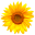 Southfranceholidayvillas favicon