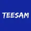 teesam.com favicon