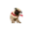 acarpetcleaninglasvegas.com favicon