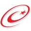 turkiye.gov.tr favicon