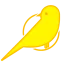 canarystudent.com favicon