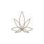 cbdremedium.pl favicon