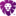 coinlion.com favicon