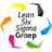 leansixsigmagroep.nl favicon