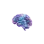 memoryos.com favicon