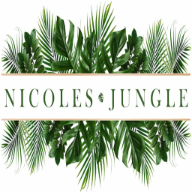 nicolesjungle.com favicon