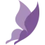 absolutecareservice.co.uk favicon
