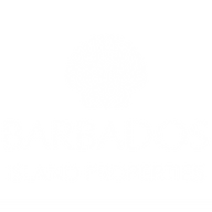 barbadosislandproperties.com favicon