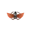 e-vaporettes.fr favicon