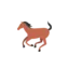 equinesuperstore.co.uk favicon