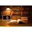 lire-des-livres.com favicon