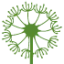 odlingsklubben.se favicon