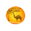 tours-4x4-morocco.com favicon
