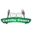 catchycourt.com favicon