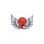 frsportdecombat.com favicon