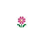 gardenerscorner.co.uk favicon