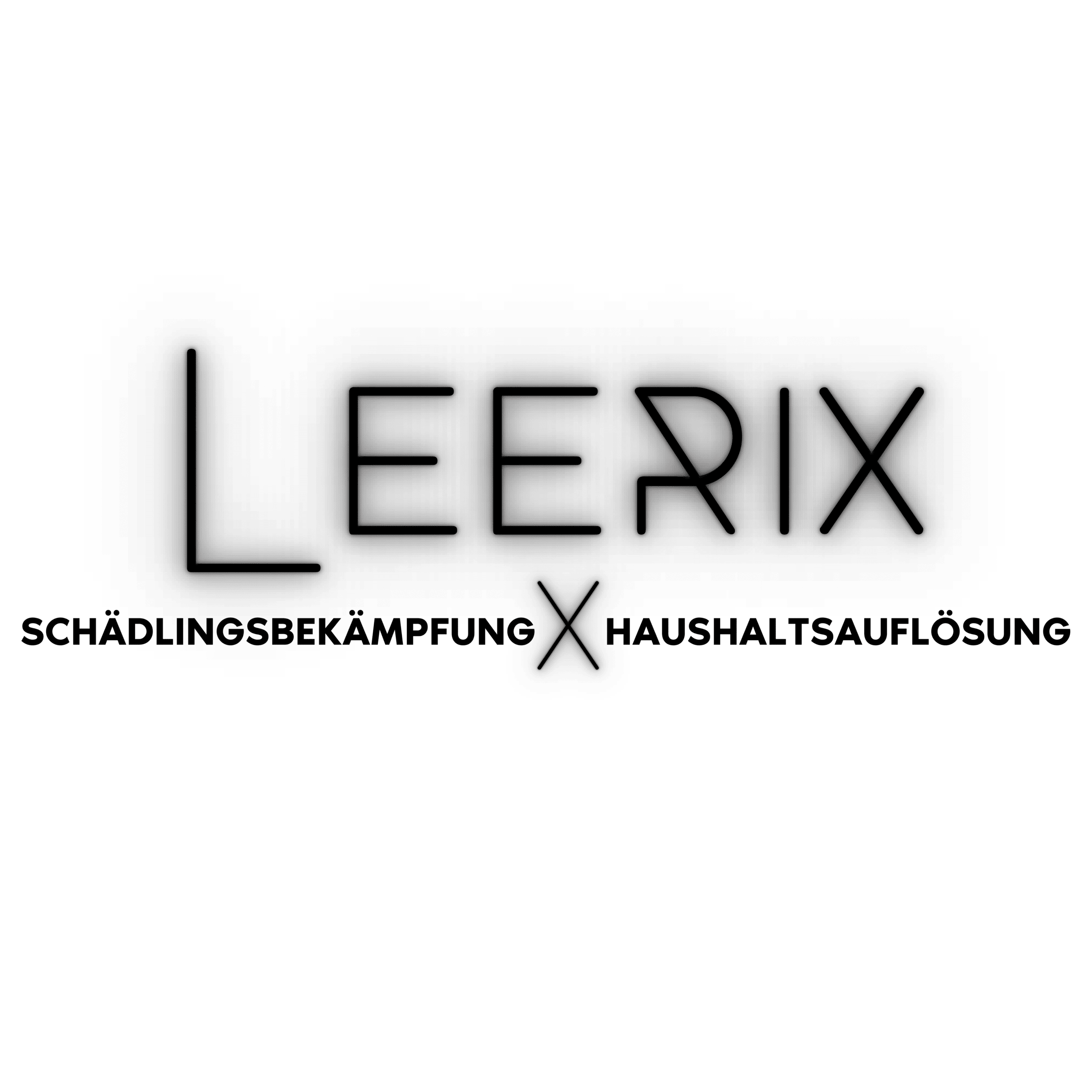 leerix.de favicon
