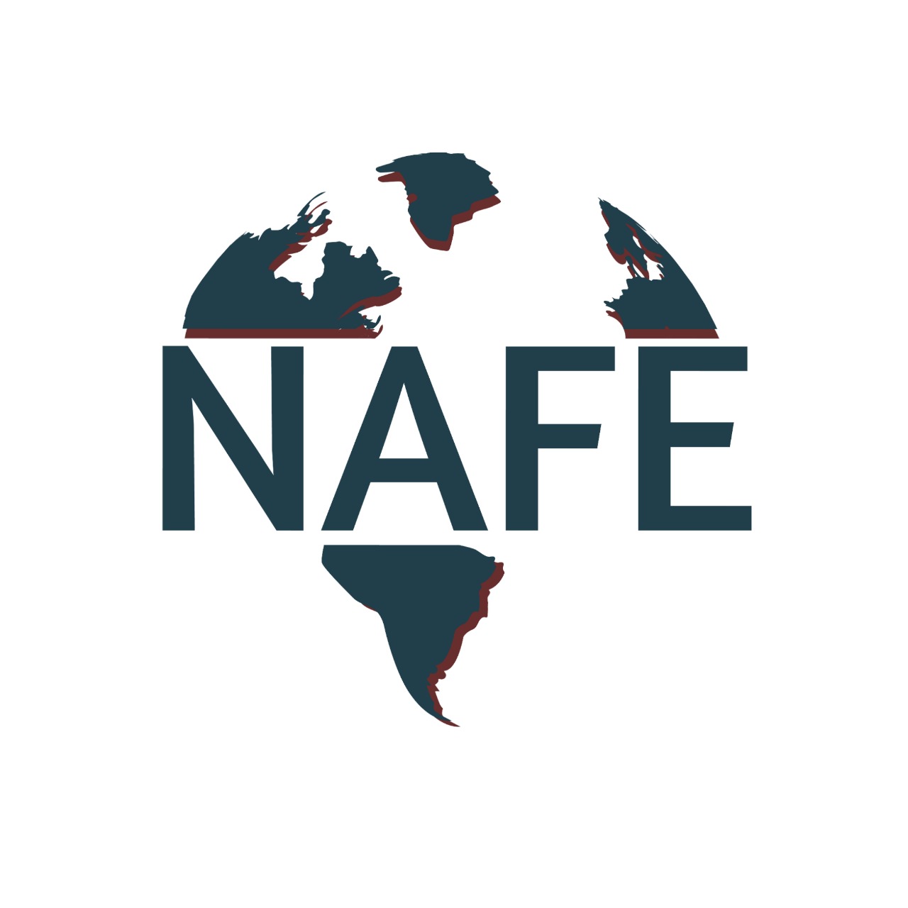 nafeproxys.online favicon