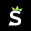 spadedesignlab.com favicon