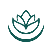 spadreams.com favicon