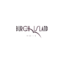 burghisland.com favicon