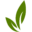 dogoptimal.com favicon