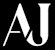 accessoriesjunkieamsterdam.nl favicon