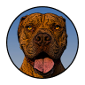 b2bcaninebehaviourist.co.uk favicon