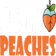 casinopeaches-online.com favicon