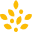 clinic.morrisons.com favicon