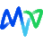 Mvv favicon