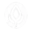 semilla.biz favicon