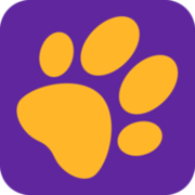 crazypet.es favicon