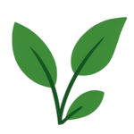 groeimetcynthia.com favicon